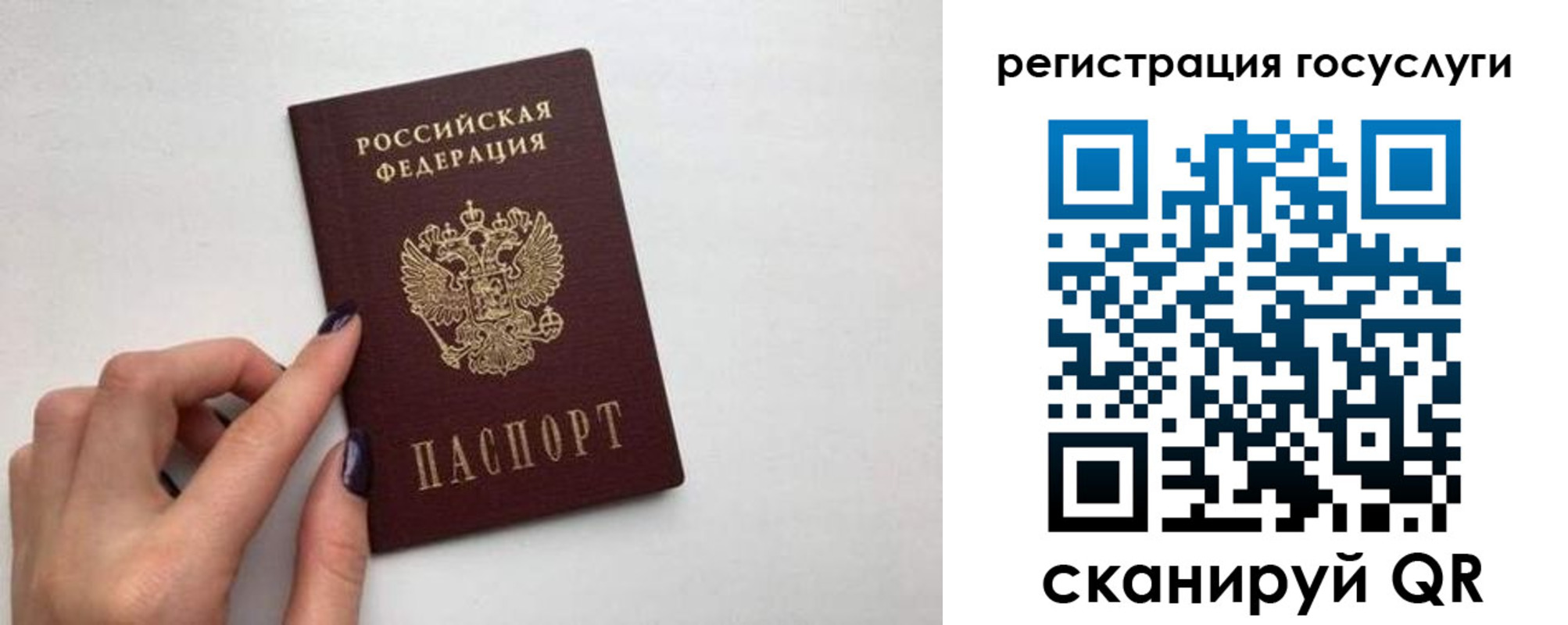 временная регистрация гарантия в Калаче